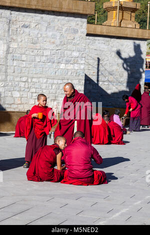 Thimpu, Bhutan. Mönche Essen und Sprechen unter der Großen Buddha Statue Dordenma. Stockfoto