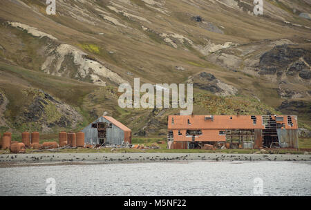 Die verfallenen, verrostete Metall Gebäude einer Walfangstation in Stromness in South Georgia. Dichtungen sind am Strand gesehen und ein Berg mit grünen und Stockfoto