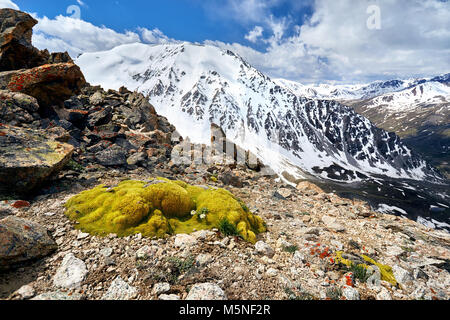Moos und Berge Landschaft mit bewölktem Himmel Hintergrund Stockfoto