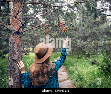 Junge Frau mit Hut mit langen Haaren füttern Eichhörnchen in einem Pinienwald Stockfoto