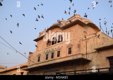 Detail der Fassade eines typischen roten Gebäude in Jaipur, Rajasthan, Indien Stockfoto