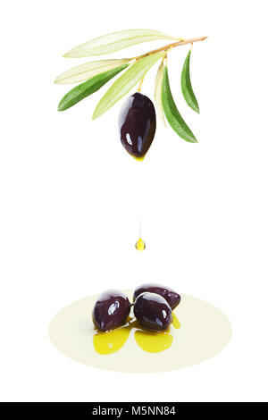 Schwarze Oliven Obst und fallende Tropfen biologisches Olivenöl auf weißem Hintergrund Stockfoto