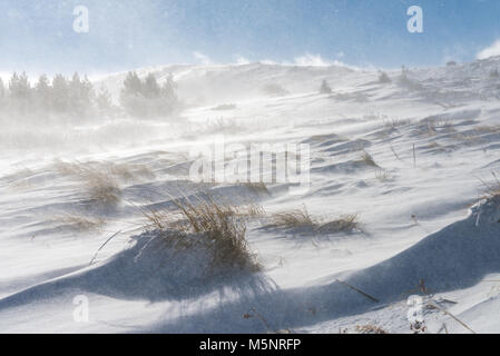 Hohe Winde Schnee über Vitosha National Park (Bulgarien), Blizzard Bedingungen in den Berg Stockfoto