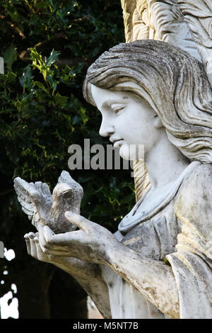 Ein Grabstein zeigt eine Abbildung von einem Engel Holding eine Taube sitzt gegen einen Baum in einem Edinburgh Friedhof Stockfoto