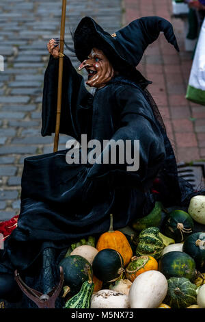 Straße Marktstand, die Blumen, Kürbisse und Kürbisse zu Halloween, High Street, Lewes, Sussex, UK Stockfoto