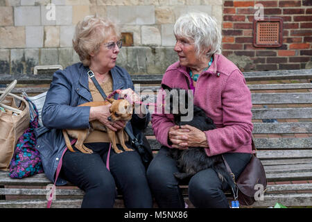 Zwei Frauen mit ihren Hunden sitzen Plaudernd auf einer Bank in der High Street, Lewes, Sussex, UK Stockfoto