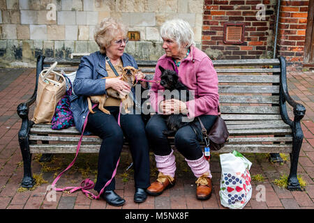 Zwei Frauen mit ihren Hunden sitzen Plaudernd auf einer Bank in der High Street, Lewes, Sussex, UK Stockfoto