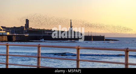 Aberystwyth, Ceredigion, Wales, UK. 25 Feb, 2018. UK Wetter: Am Ende eines schönen sonnigen, aber kalten Tag, die Stare Rückkehr unter Aberystwyth Pier bei Sonnenuntergang Roost. Credit: Ian Jones/Alamy leben Nachrichten Stockfoto