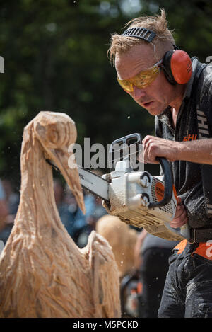 Die Niederlande. Lage Vuursche. 19-08-2017. Niederländische Meisterschaft Kettensäge Bildhauerei. Stockfoto