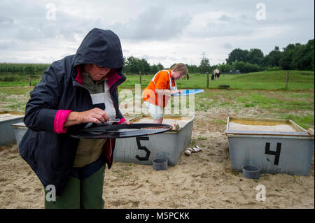 Deutschland. Bunde. 20-08-2017. Niederländische Meisterschaft Goldwaschen Stockfoto