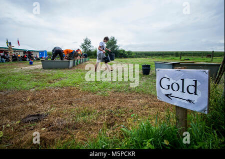 Deutschland. Bunde. 20-08-2017. Niederländische Meisterschaft Goldwaschen Stockfoto