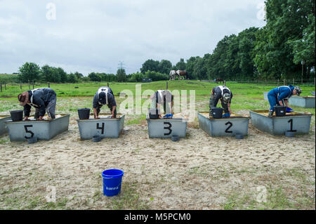 Deutschland. Bunde. 20-08-2017. Niederländische Meisterschaft Goldwaschen Stockfoto