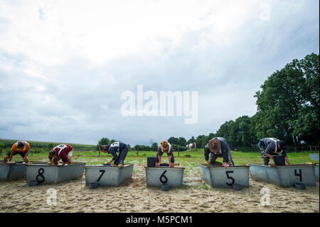 Deutschland. Bunde. 20-08-2017. Niederländische Meisterschaft Goldwaschen Stockfoto