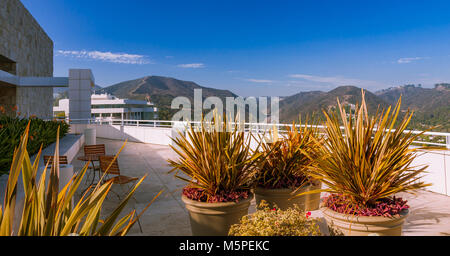 Pflanzen auf der Terrasse in der Nähe des East Pavilion im Getty Center, Brentwood, Los Angeles, Kalifornien Stockfoto