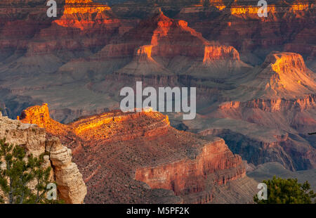 Sonnenaufgang am Grand Canyon, die aufgehende Sonne aus interessanten Felsformationen in der Nähe Yaki Point an der Canyon Süd-Rand, Arizona, USA Stockfoto