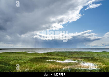 Am Ufer des Lake Võrtsjärv gegen trübe und sonnige Himmel im Sommer. Es ist der zweitgrößte See in Estland (hinter dem See Peipus). Stockfoto