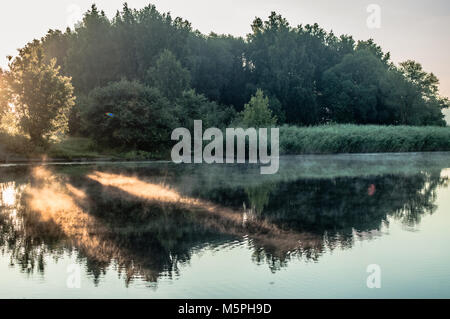 Schönen baum Reflexionen auf Seen Oberfläche. Stockfoto