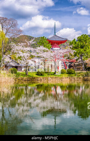 Kyoto, Japan am Daikaku-Ji-Tempel. Stockfoto