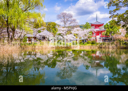 Kyoto, Japan am Daikaku-Ji-Tempel. Stockfoto