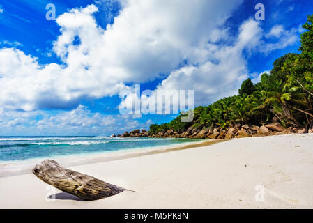 Granitfelsen, weißer Sand, türkises Wasser, blauer Himmel und Palmen am Paradise Beach auf den Seychellen Anse Cocos, La Digue Stockfoto