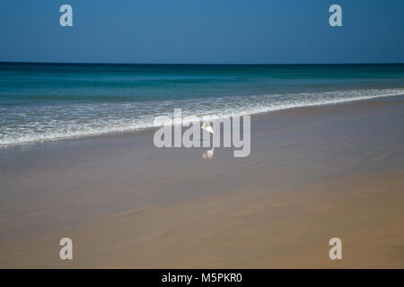 Hut Na Tai Strand in der Provinz Phang Nga, zwischen Khao Lak entfernt und nördlich von der Insel Phuket. Stockfoto