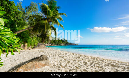 Schönen tropischen Strand., weißer Sand, Palmen, türkisfarbenes Wasser und Granit Felsen im Paradies, Anse Intendance, Seychellen Stockfoto