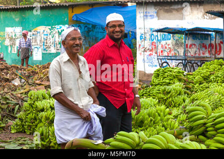 Ernakulam Bananen. Von Kochi (Cochin) Kerala, Indien. Stockfoto