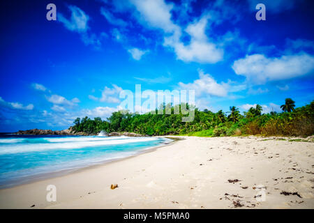 Schöne und wilde Lonely Beach mit Granitfelsen, weißer Sand, Palmen in einem Dschungel und das türkisblaue Wasser des Indischen Ozeans an der Polizei Bucht auf der se Stockfoto