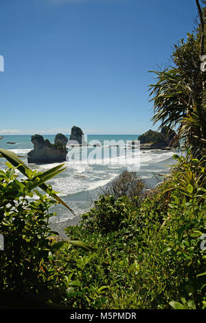 Native Bush Frames ein Strand bei Ebbe auf dem West Coast Beach, South Island, Neuseeland Stockfoto