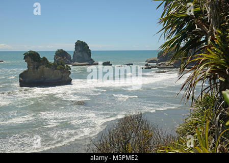 Native Bush Frames ein Strand bei Ebbe auf dem West Coast Beach, South Island, Neuseeland Stockfoto