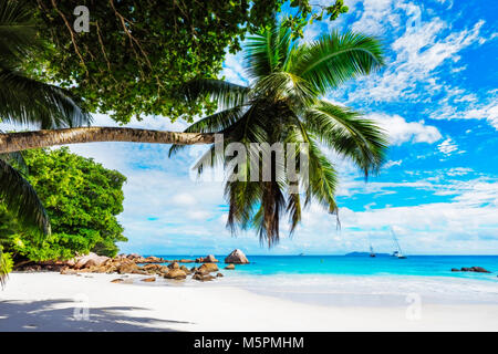 Unglaublich schönes Paradies Strand. weißer Sand, türkises Wasser, Palmen am tropischen Strand Anse Lazio, Praslin, Seychellen Stockfoto