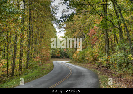 Nebel in Blue Ridge Stockfoto