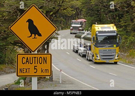 Verkehr in Arthus Pass National Park geht durch den Gefahrenbereich für Kea (Nestor notabilis), native alpine Papageien, Westland, Neuseeland Stockfoto