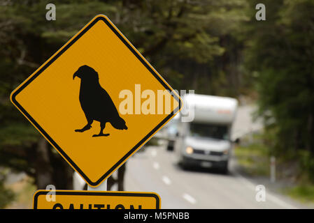 Verkehr in Arthus Pass National Park geht durch den Gefahrenbereich für Kea (Nestor notabilis), native alpine Papageien, Westland, Neuseeland Stockfoto