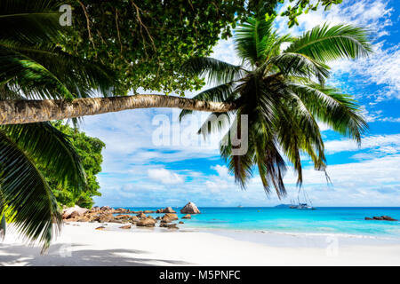 Unglaublich schönes Paradies Strand. weißer Sand, türkises Wasser, Palmen am tropischen Strand Anse Lazio, Praslin, Seychellen Stockfoto