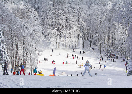 Gruppe Kinder und Menschen Rodeln und Skifahren in den Schnee im Winter Stockfoto