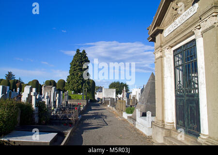 Cementerio municipal in Punta Arenas Stockfoto