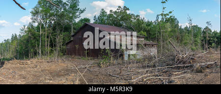 Die alten, verlassenen Sarepta Schule Gynasium Gebäude. In der Gemeinde von Sarepta in Calhoun County, Mississippi. Stockfoto