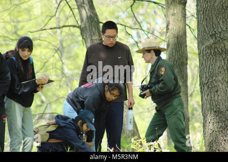 IMG. Kursteilnehmer von Phoenix Military Academy machen Sie sich an die Untersuchung der Auswirkungen des Klimawandels auf Indiana Dunes NL. Stockfoto