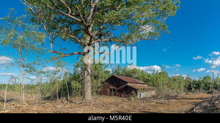 Die alten, verlassenen Sarepta Schule Gymnasium Gebäude. In der Gemeinde von Sarepta in Calhoun County, Mississippi. Stockfoto