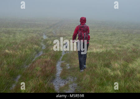 Ein Wanderer zu Fuß zusammen mit ihrem Hund in strömendem Regen auf einem Hügel, England, UK. Stockfoto