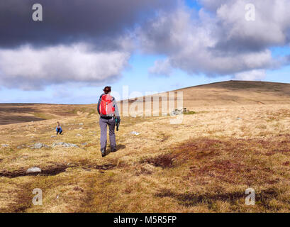 Ein Wanderer zu Fuß in Richtung Miton Hügel und hohe Hecht vom Gipfel des Carrock fiel im englischen Lake District, England. Stockfoto