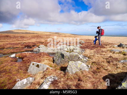 Ein Wanderer zu Fuß in Richtung Miton Hügel und hohe Hecht vom Gipfel des Carrock fiel im englischen Lake District, England. Stockfoto