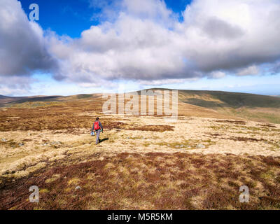 Ein Wanderer zu Fuß in Richtung Miton Hügel und hohe Hecht vom Gipfel des Carrock fiel im englischen Lake District, England. Stockfoto