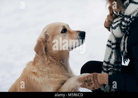 Foto von Labrador die Pfote zu Frau in Schwarz Jacke im Winter Tag Stockfoto