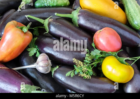 Eine große Anzahl von Reifen Auberginen, Tomaten, Paprika, Knoblauch. Schließen präsentiert Blick von oben. Stockfoto