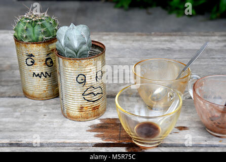 Cactus im Coffee Shop und haben zu können Stockfoto