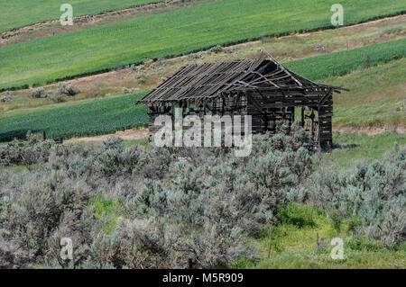 Holzrahmen einer alten Scheune auf einem Bauernhof in der Nähe von wasco Oregon Stockfoto
