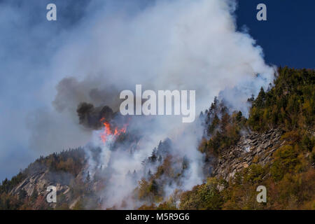 Löser Kerbe Waldbrand, North Woodstock, New Hampshire Stockfoto