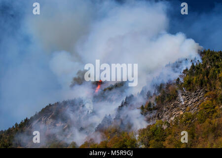 Löser Kerbe Waldbrand, North Woodstock, New Hampshire Stockfoto